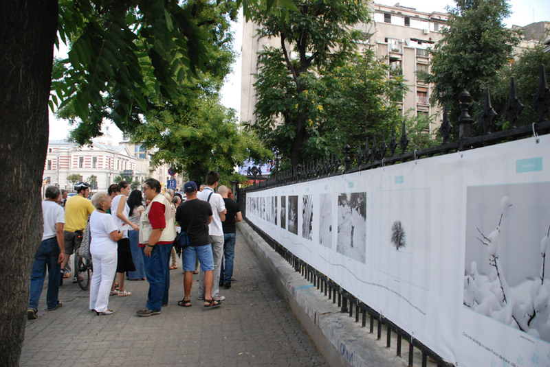 julia-kretsch-dsc_0654