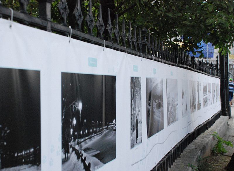 julia-kretsch-dsc_0655