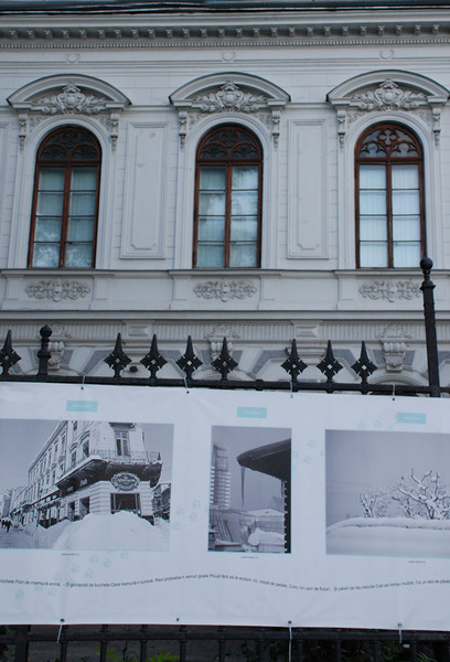 julia-kretsch-dsc_0663