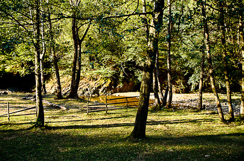 In drum spre Sarmizecetuza Regia