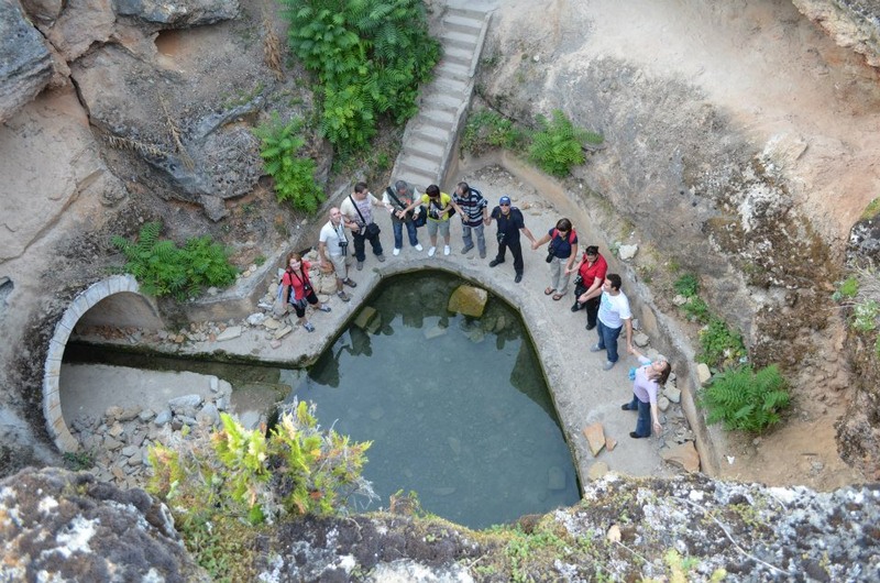 228516_338060539620758_912316714_n