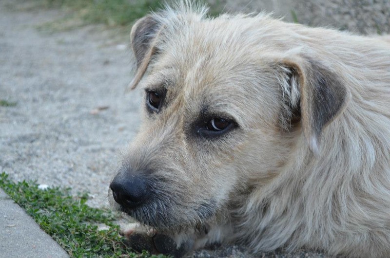 304591_338065212953624_1496081322_n