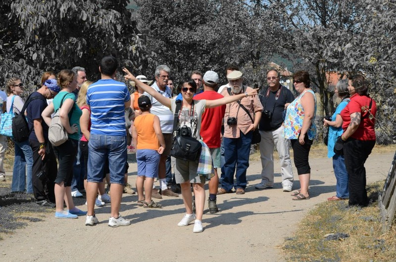 383244_338053496288129_1825415987_n