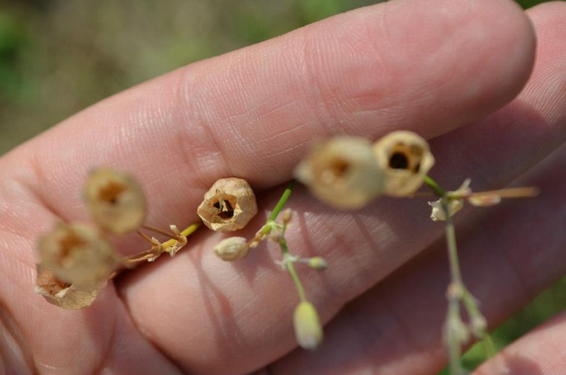 392051_338059119620900_620961664_n