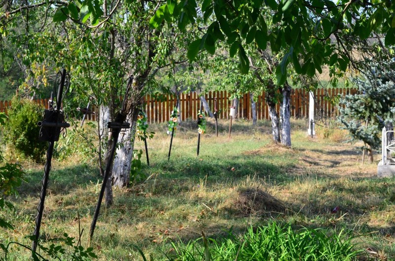 421681_338059729620839_24146631_n