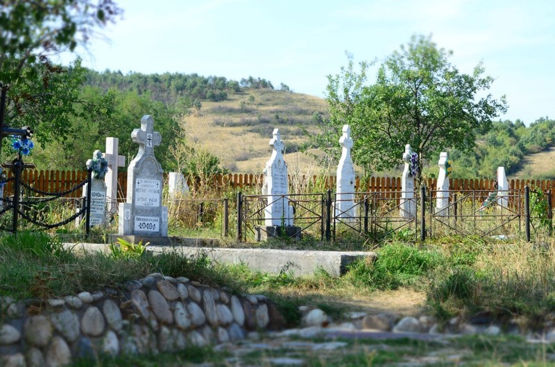 547186_338059656287513_251428679_n