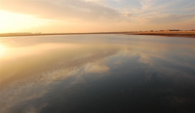 20090207_gabriele_21