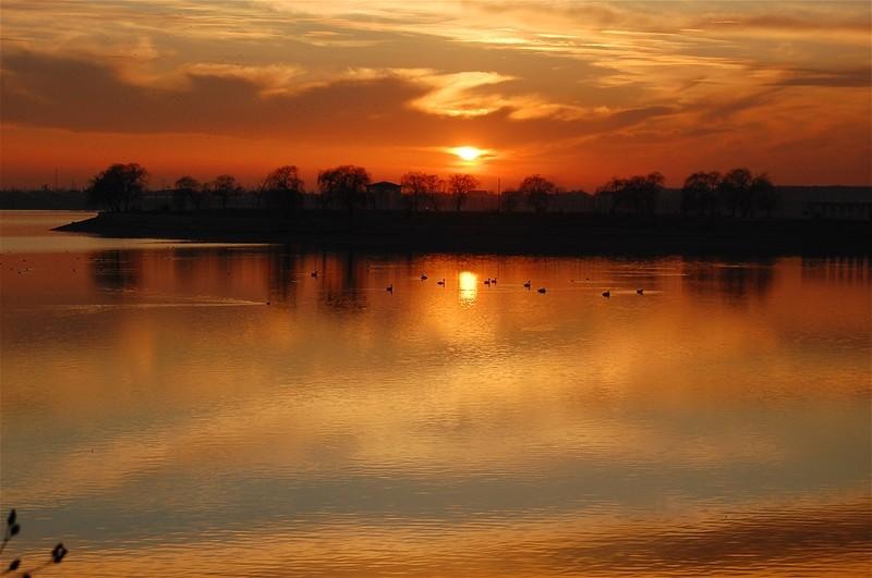 20090207_gabriele_26