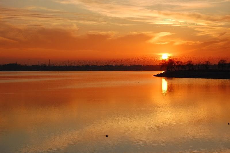 20090207_gabriele_27