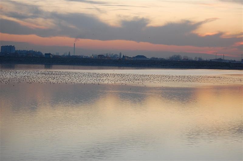 20090207_gabriele_33