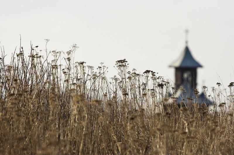 20090207_danmoruzan-11