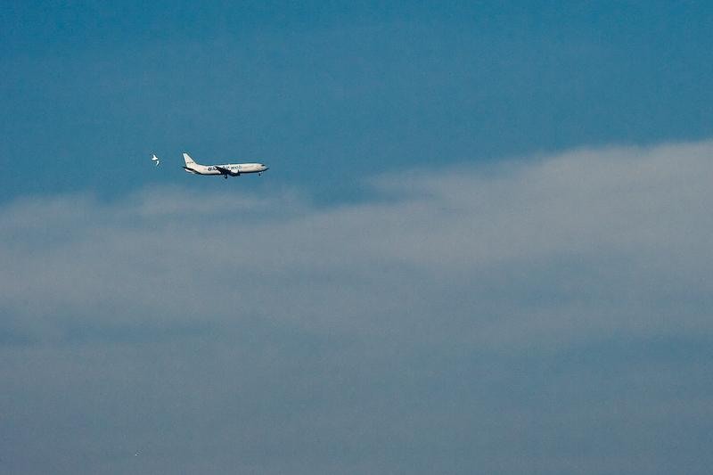 20090207_danmoruzan-12