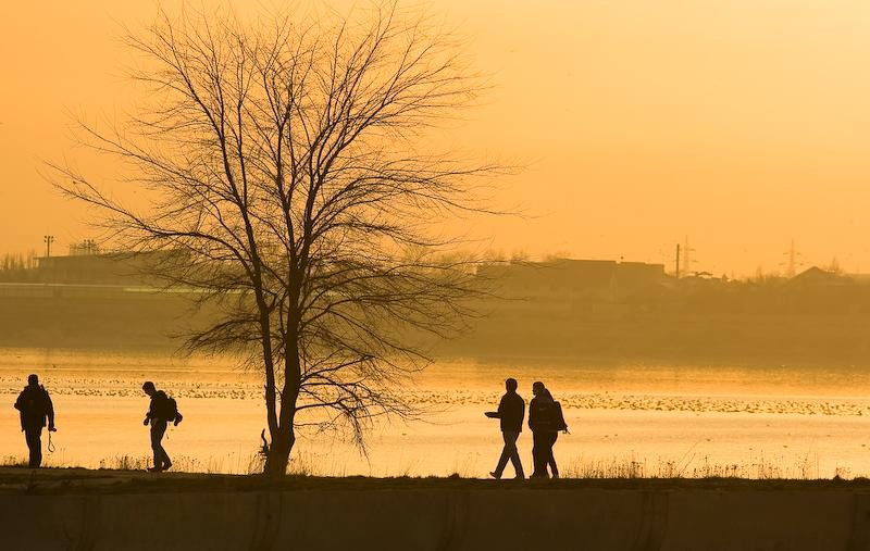 20090207_danmoruzan-19