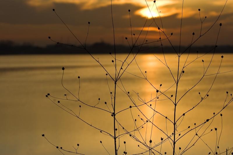 20090207_danmoruzan-23