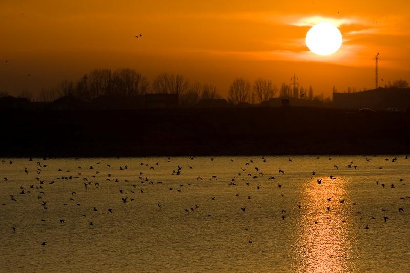 20090207_danmoruzan-24