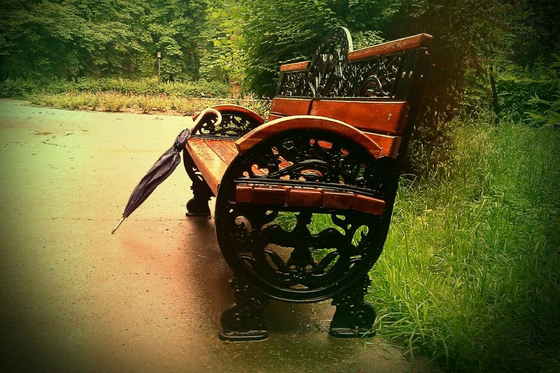 Zi ploioasa in Herestrau