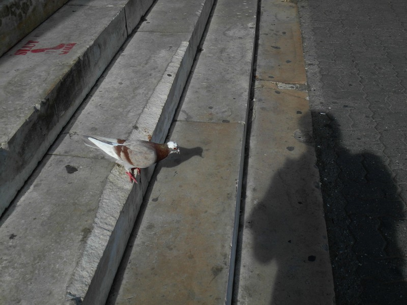 21-himere-sam-ex-1-_1998-43