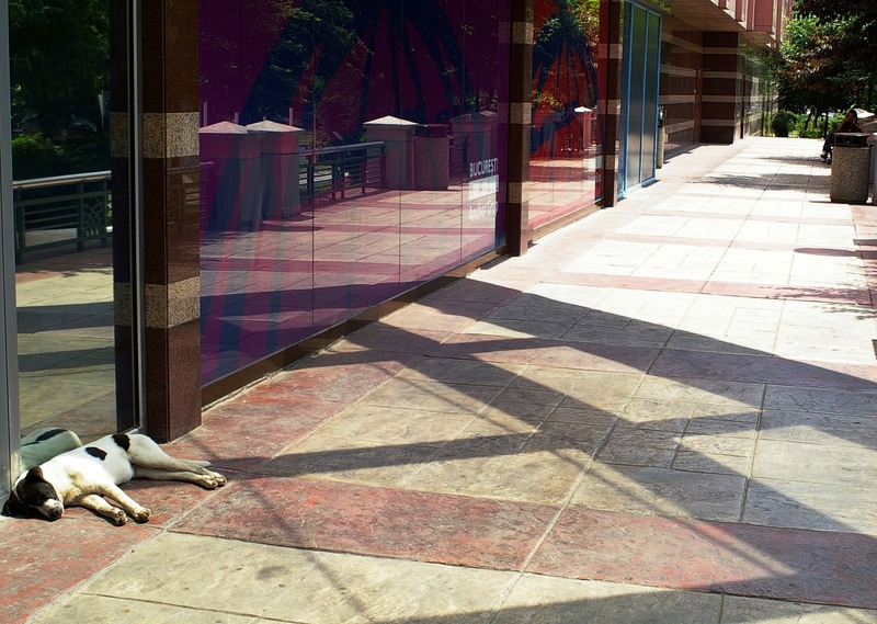 24-somn-la-mall-sg1s2263elmarit-69