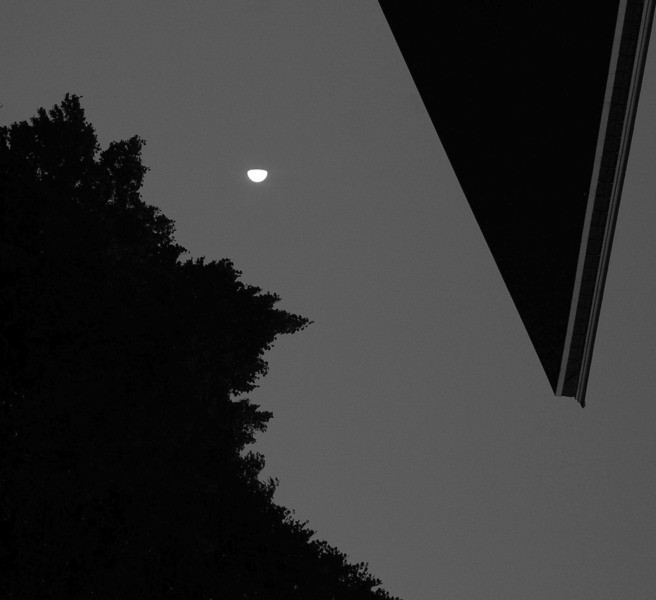 2intre-lumi-elmarit-33xcv