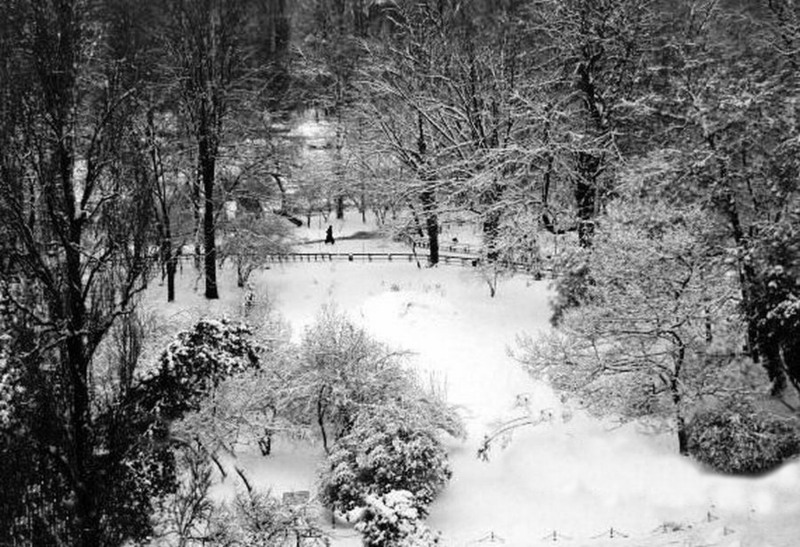 1zapezile-dealtadata-1