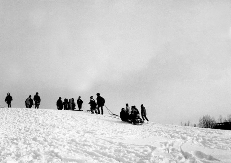 2-zapezile-de-altadta-a-sanius-b7w