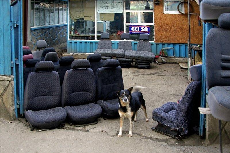 20090207_svornicu_03