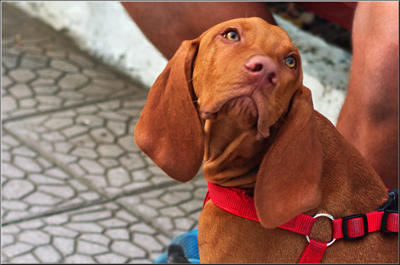 cristoficerchez_serbanvornicu_09