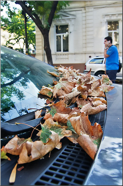 cristoficerchez_serbanvornicu_13