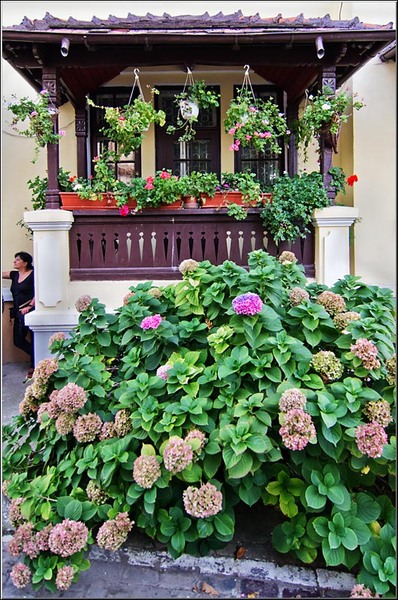 cristoficerchez_serbanvornicu_20