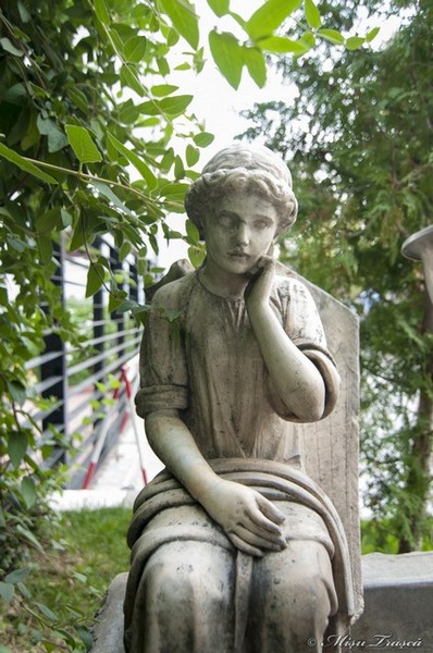 _pe_urmele_cristofi_cerchez_06