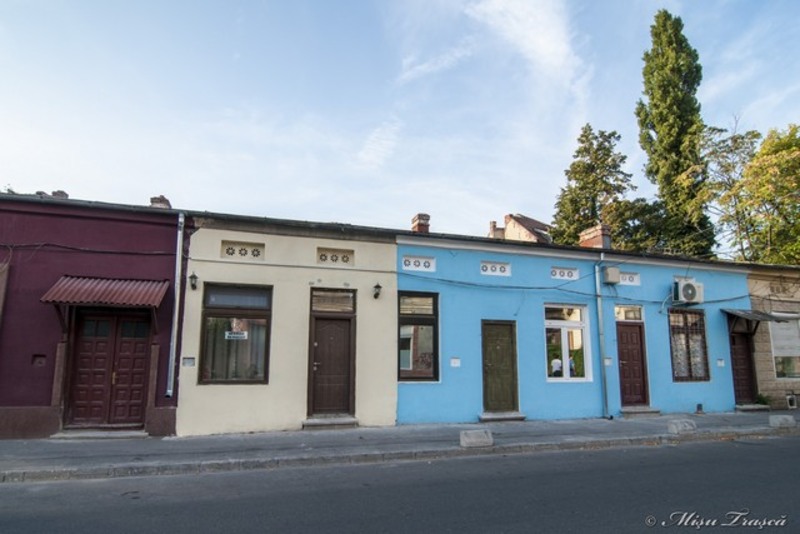 _pe_urmele_cristofi_cerchez_11