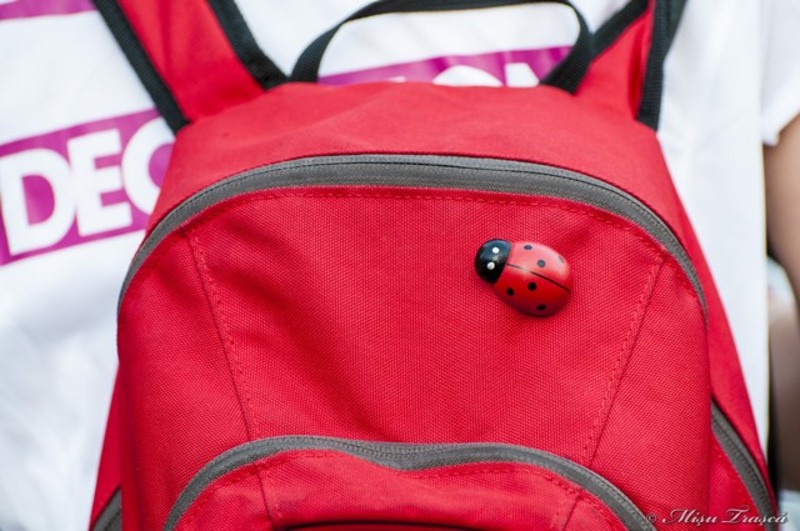 _pe_urmele_cristofi_cerchez_13