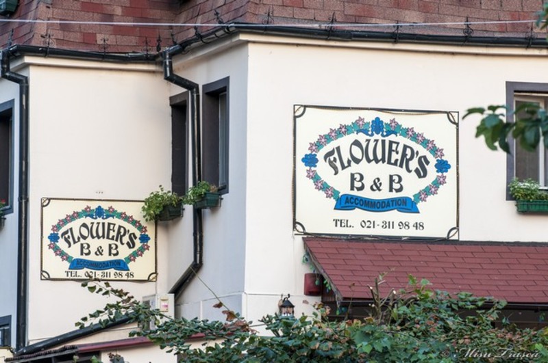 _pe_urmele_cristofi_cerchez_14