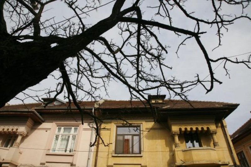 20090221_tarcomnicu-13