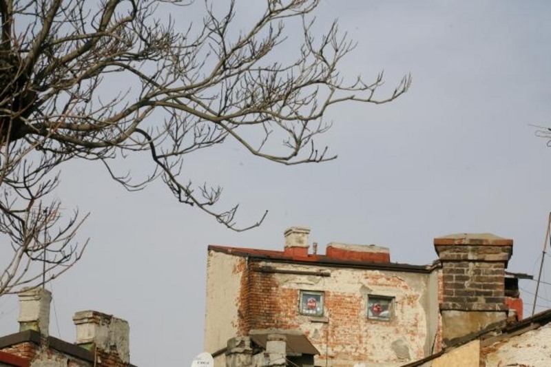 20090221_tarcomnicu-43