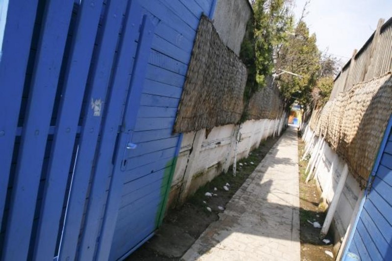 20090221_tarcomnicu-47