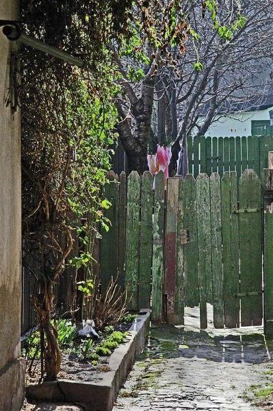 20090221_svornicu-18