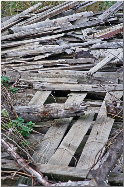 centura_serbanvornicu_07