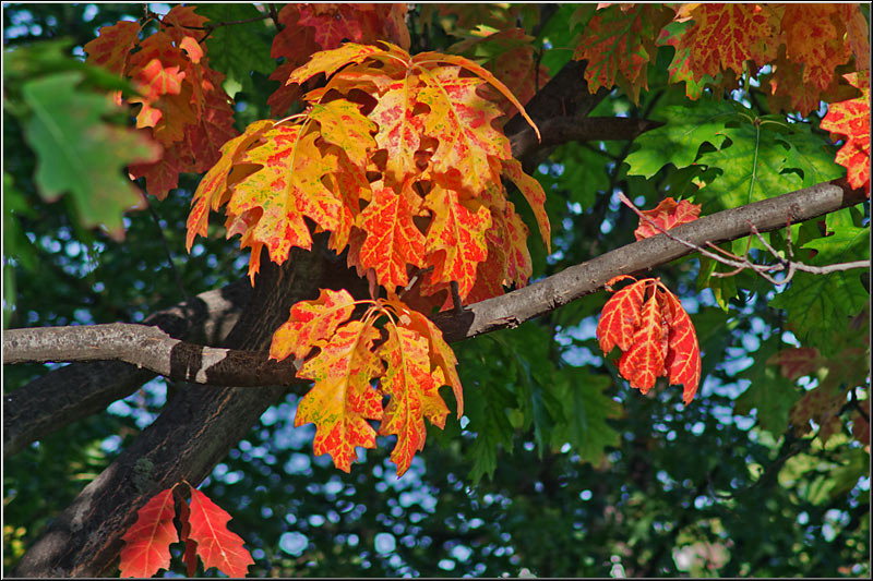 ultimul_etaj_serbanvornicu_02