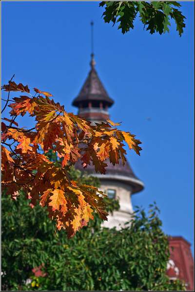 ultimul_etaj_serbanvornicu_03