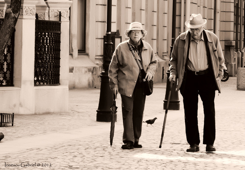 in-cautarea-unei-amintiri-pierdute