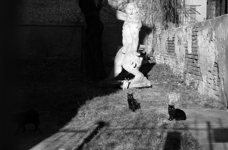 10-trei-surori-sg208336-pentaz-35-105-79df