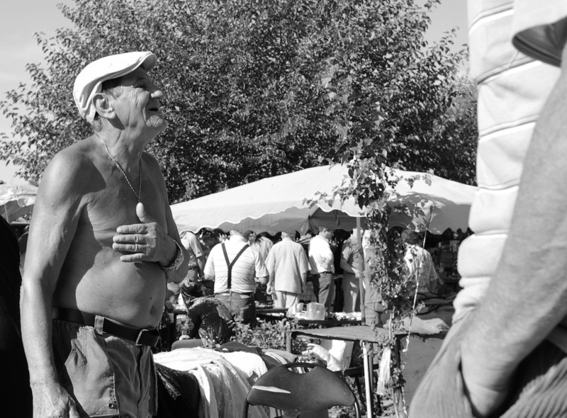 cu-suflet-sg1s2185elmarit-2fdf