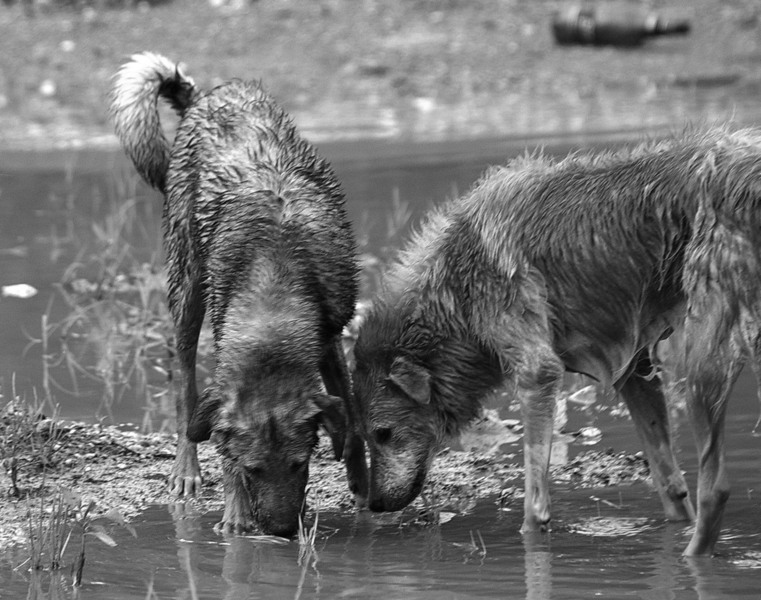 dupa-bere-omm-sigma-28-200-405cdf