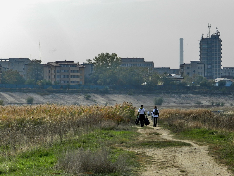 Ecologistii in actiune