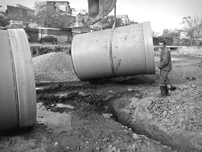 dsc_0010_edit_121110