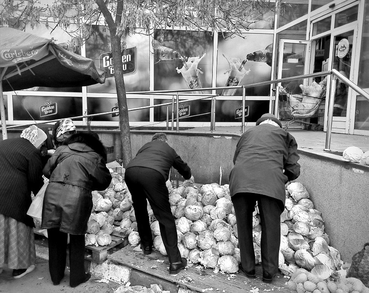 dsc_0031_edit_121110