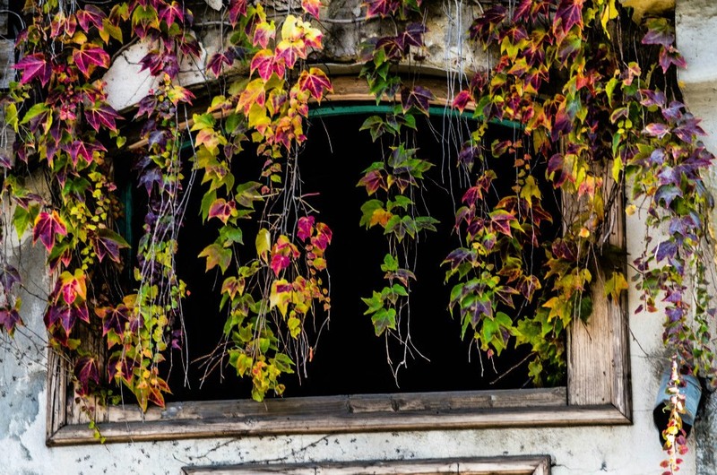 154392_364740096952802_1582554025_n