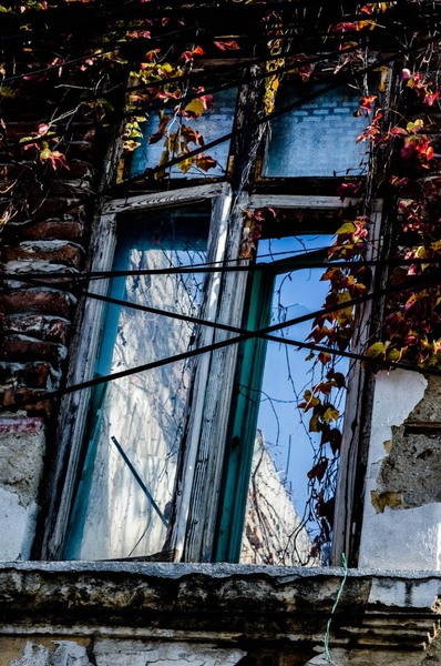 216386_364740083619470_1434212372_n