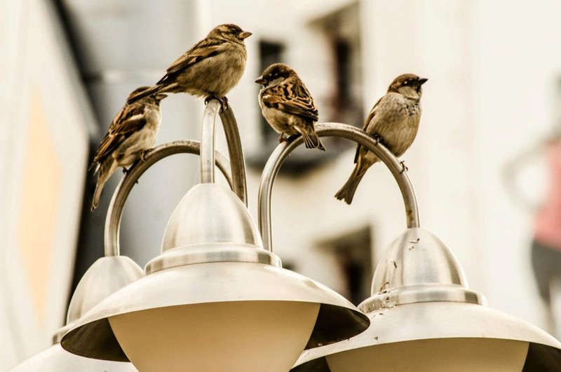 28053_364740323619446_2057032214_n